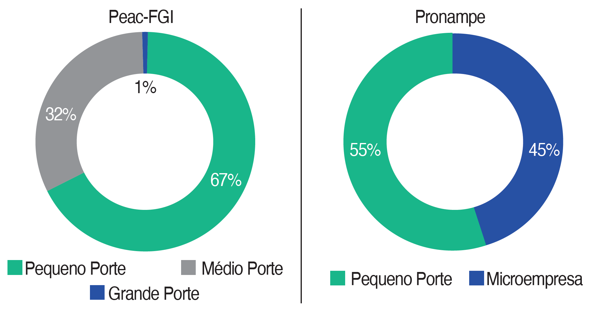 Gráfico 2 – Programas de Crédito Peac-FGI e Pronampe: proporção dos diversos segmentos do público-alvo em relação à quantidade de agentes econômicos atendidos